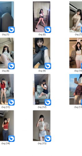 20251101期 小q 11V